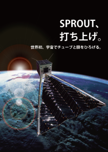 SPROUT in orbit
