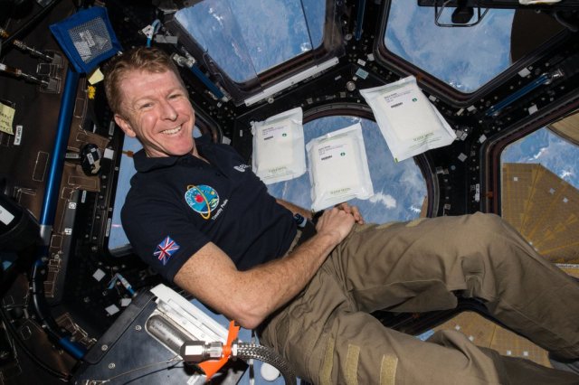 UK astronaut Tim Peake KG5BVI / GB1SS